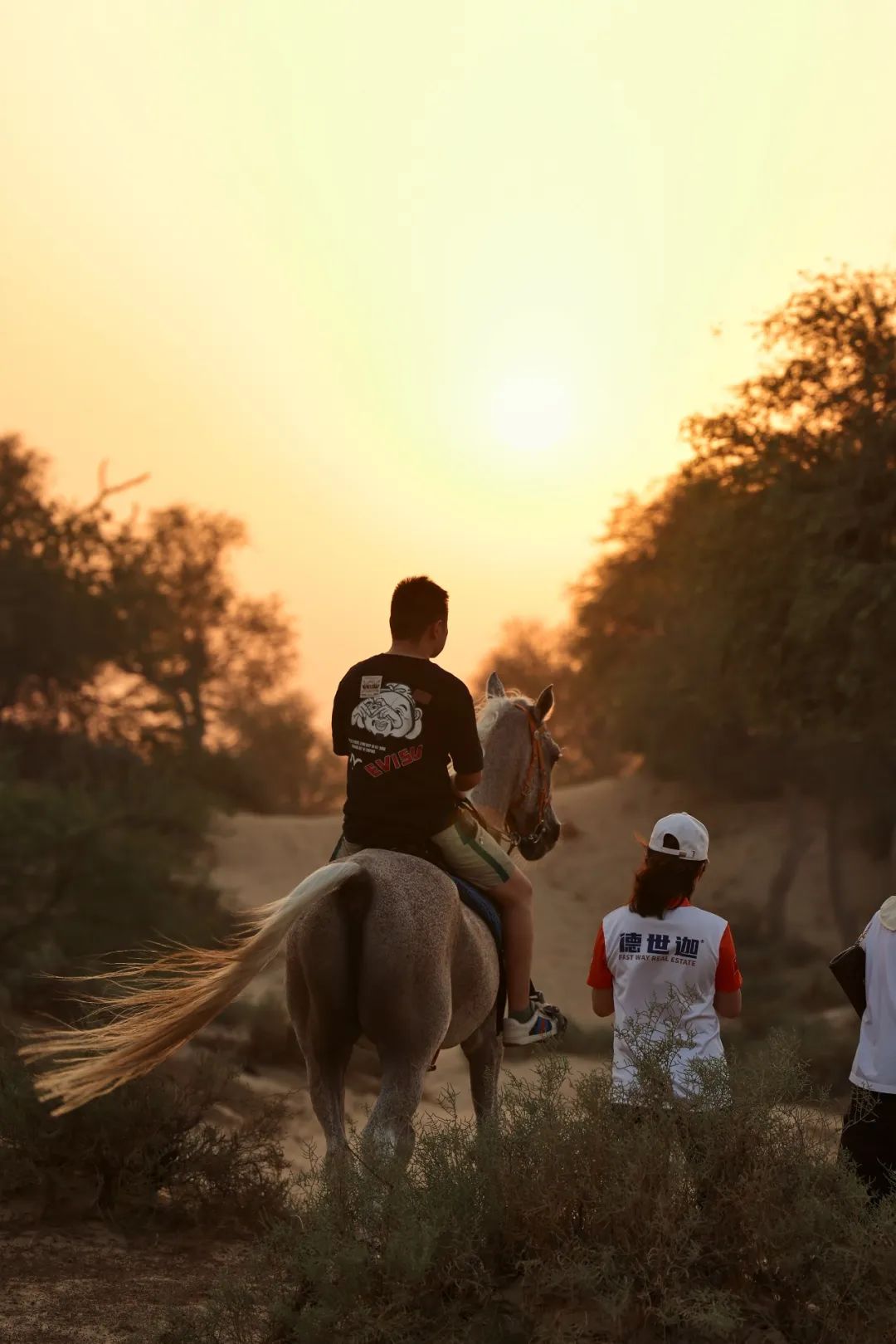 /xiangguandongtai/shehuizeren/265.html